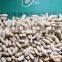 Factory supply kinds of white kidney beans from China with cheap price