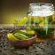 Vietnam pickled cucumbers in jar, gherkins 6-9 cm in brine, high quality, cheap price