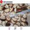 machines for Frozen IQF shiitake mushroom China brands