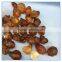 Rosined Peach Gum Resin