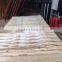 Vietnam Eucalyptus 16MM Calibrated Plywood for Furniture