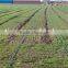Agriculture irrigation micro spray tape