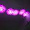 led 5r 200w moving head lighting mobile stages equipment for sale