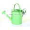 Metal Galvanised Steel Watering Can 9 Litre Garden Water Plants Green Cream Galvinised (Silver)