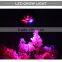 Full spectrum LED Grow lights AC85V 110V 265V 15W E27 LED Grow Lamp Bulb Flower Plant Hydroponics System Growing Box