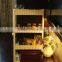 Plastic slid out storage rack/tower folding 3 tire with rolling wheels
