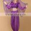 Bollywood sparkle belly dancing long sleeve top and harem pants set