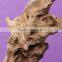 Driftwood Tree Root Stump Cuckoo Aquarium Decoration Fish Tank Underwater Decor Beautiful Artificial Plastic Plant