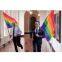 Hot sale, wholesale,Colorful flag