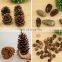 1-15CM colour Real Pinecone Ornaments for Home Christmas Decorations