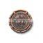 promotional coin logo with enamel ,carving ,hollow, custom metal challenge coin