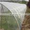 15x15 mesh, 70g/m2 Plastic transparent window screen/insect net/mosquito net