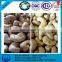 Automatic cashew nut kernels and shells separator machine/cashew nut shelling machine/cashew nut processing