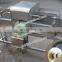 0086-18037101692 Fruit peeling machine_fruit skin remover_fruit and vegetable peeling machine