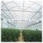 High quality cheap price agricultural winter multi span greenhouse with 200 micron plastic film exhaust fan