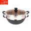 Multi-functional cast iron  Electric Steamer Cooking Pot  for home