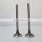 Hot Sale K19 Diesel Engine Spare Parts Exhaust Valve 3035110