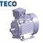 TECO three-phase electric motor
