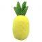 Pet Chew Toy Pineapple Design Dog Snuffling Training Plush Pet Toys