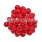 50Pcs Mini Berries Plastic Fruits Decoration Fruit Decoration Tools Small Artificial Fruits Wedding Diy Gift Box Xmas