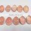 Pink Chalcedony 12x16 Oval Cabochon