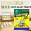 Environmental Friendly High Effective Rat Catcher Customized Glue Mouse Sticker Board
