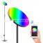 Modern Nordic Led RGB Living Room Floor Lamp