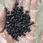 Columnar Activated Carbon Coal Based for Purifying Water Quality of Fish Farming