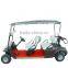 New design and high quality 2 seat electric golf cart