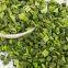 new harvest wholesales freeze dried spinach New harvest