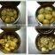 canned botton mushroom with best quality from China