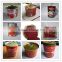 Canned food tomato ketchup