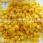 canned sweet corn A9 size