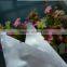 Powder Packing Aluminum Foil Bag Manufacturered by Good Heat Sealing Machine in Factory