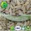 Hulled Sun flower seed Kernels Confectionary Grade