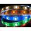 5050 RGB Led strip in 12V DC and CE and Rohs