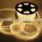 2.2W Diameter 13mm Two Wires cool White 6000K 24V 12V LED Waterproof Rope Light