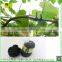 Black PVC garden tree ties