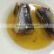 Canned Jack Mackerel in vegetable oil Wholesale best fresh mackerel material manufacturer price