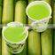 Sugarcane Juice Machine Hot Selling in Summer