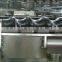 Vodka Filling Bottling Machine / Plant For Glass Bottle