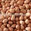 Supply High Quality Peanut kernels