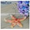 Wedding place card holders starfish name card holders gifts for beach home                        
                                                                                Supplier's Choice
