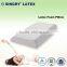Latex Pillow/ Factory Pillow/ Best Pillow