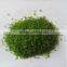 Building Model Material Highlight Tree Powder a