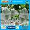 Quality Guaranteed fruit protection bag in non woven fabric with Competitive price