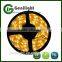New High Quality 5M 5050/3528 SMD Double Row 1200 LED Flexible Strip Lights
