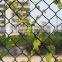 High quality hot dip galvanised chain link fence (manufacturer)