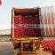 fresh onion on sale in this hot season before new year with high quality and reasonable price