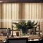 Manual Elegant Cord And Chain Operation Vertical Blinds